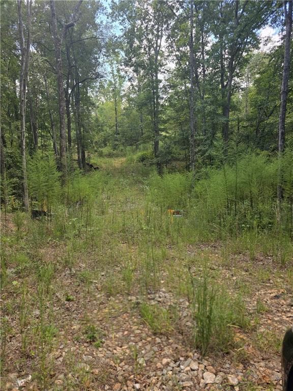 other for sale at 888 Forrester Cemetery Road, Covington, GA 30014 — photo 4