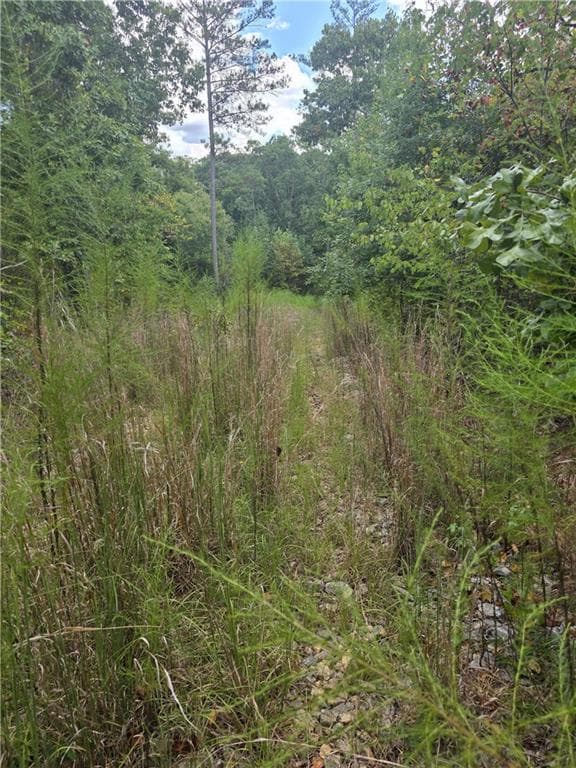 unimproved land for sale at 890 Forrester Cemetery Road, Covington, GA 30014 — photo 2