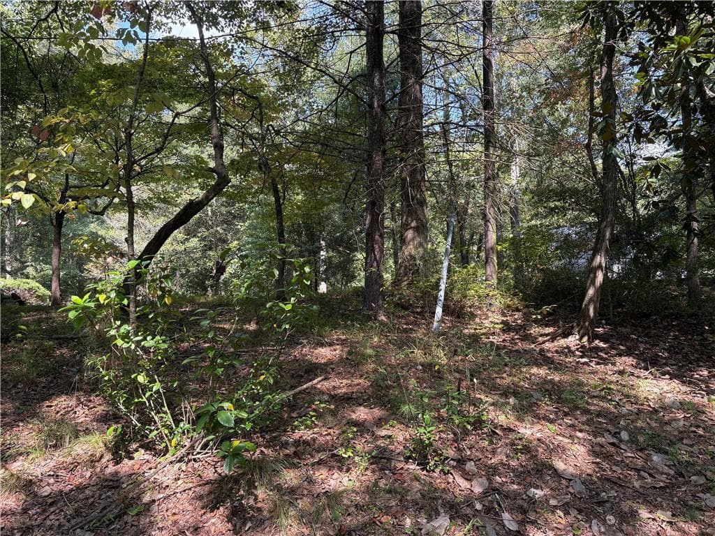 4 bedroom, 2 bathroom single family residence for sale at 6485 Forsyth Drive, Cumming, GA 30028 — photo 7