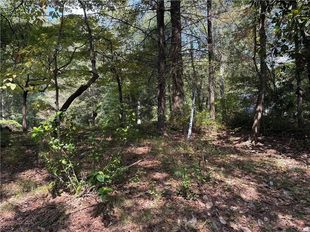 4 bedroom, 2 bathroom single family residence for sale at 6485 Forsyth Drive, Cumming, GA 30028 — photo 8