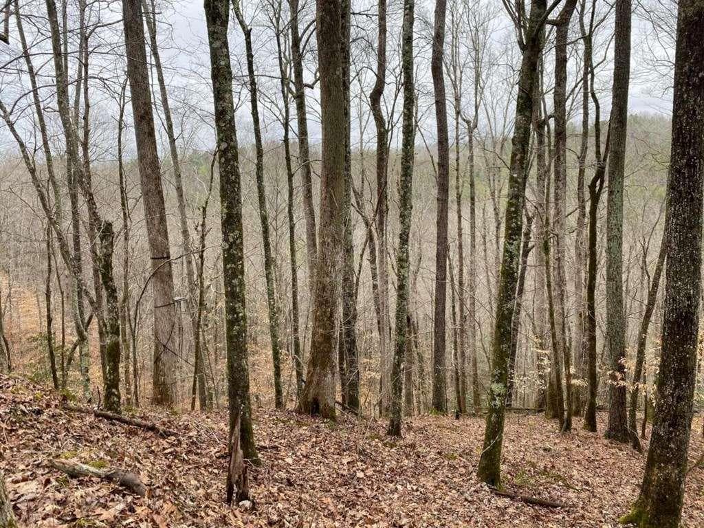 single family residence for sale at 4AC Scenic Way, Ellijay, GA 30540 — photo 1 of 33