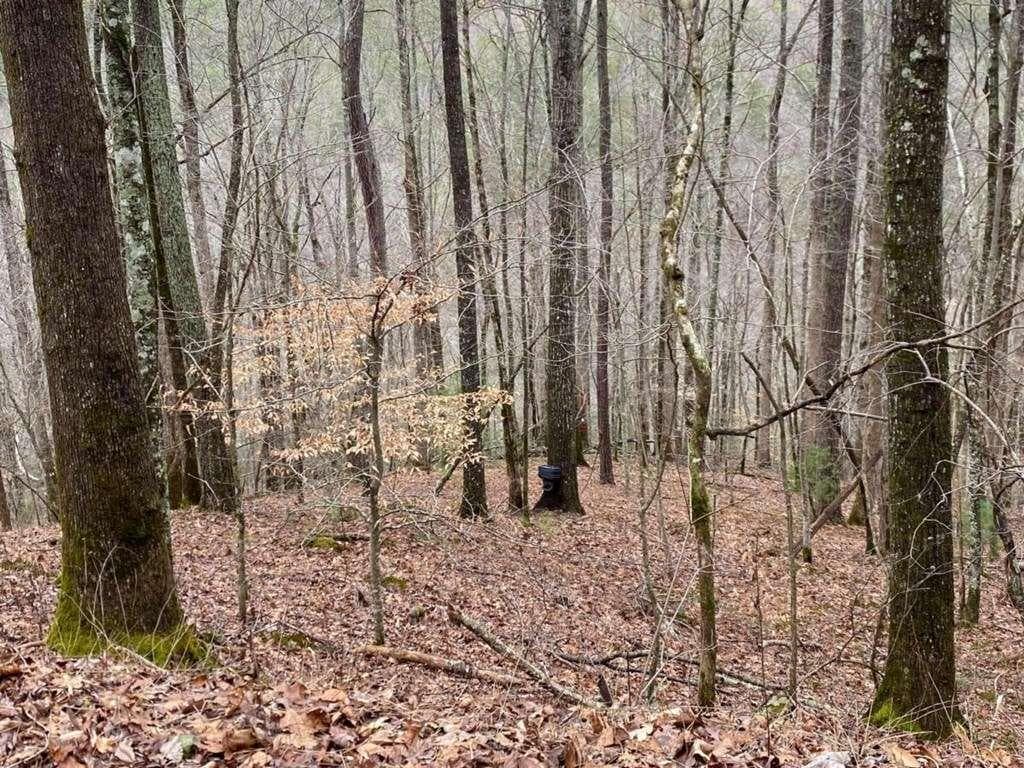 single family residence for sale at 4AC Scenic Way, Ellijay, GA 30540 — photo 2