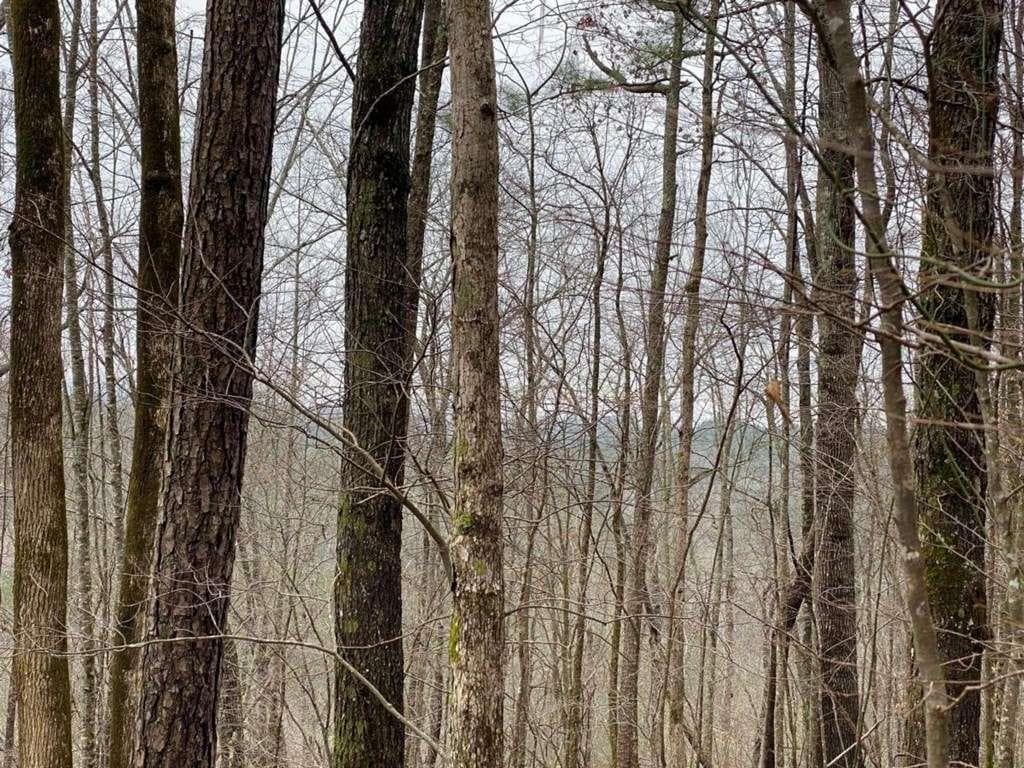 single family residence for sale at 4AC Scenic Way, Ellijay, GA 30540 — photo 3