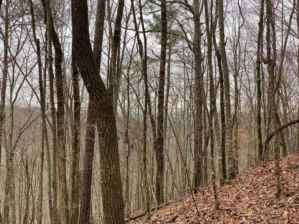single family residence for sale at 4AC Scenic Way, Ellijay, GA 30540 — photo 4