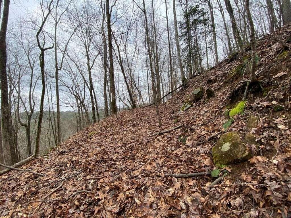 single family residence for sale at 4AC Scenic Way, Ellijay, GA 30540 — photo 5