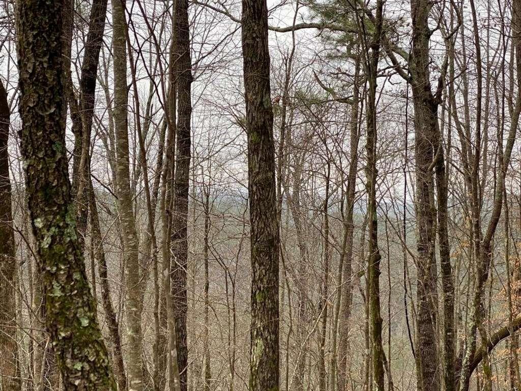 single family residence for sale at 4AC Scenic Way, Ellijay, GA 30540 — photo 6