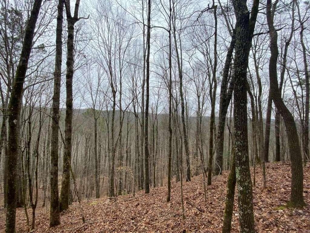 single family residence for sale at 4AC Scenic Way, Ellijay, GA 30540 — photo 7