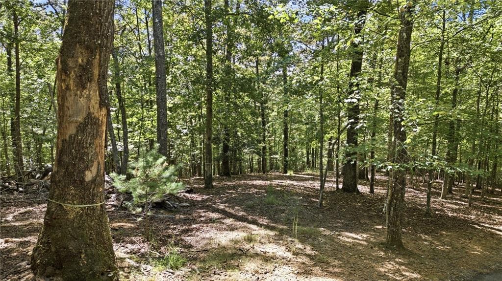 unimproved land under contract at 22 Riverwalk, Blue Ridge, GA 30513 — photo 2