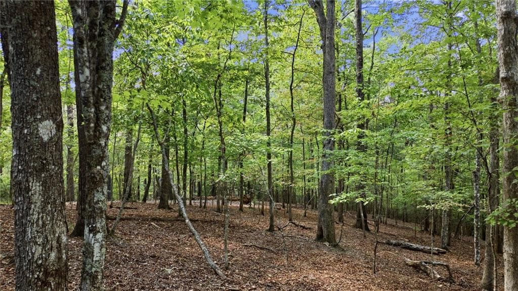 unimproved land under contract at 22 Riverwalk, Blue Ridge, GA 30513 — photo 3