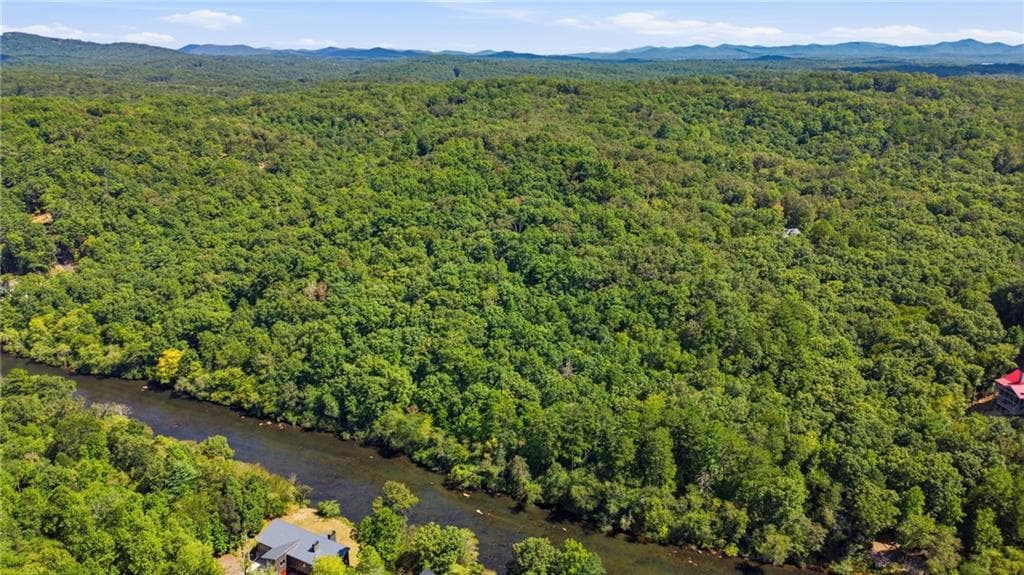 unimproved land under contract at 22 Riverwalk, Blue Ridge, GA 30513 — photo 6
