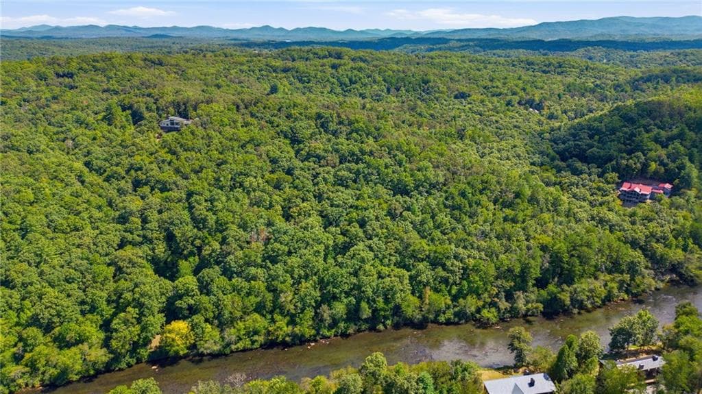 unimproved land under contract at 22 Riverwalk, Blue Ridge, GA 30513 — photo 8