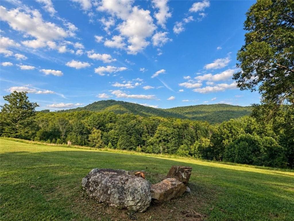 3 bedroom, 2 bathroom single family residence for sale at 1538 Greenfield Road, Ellijay, GA 30536 — photo 2