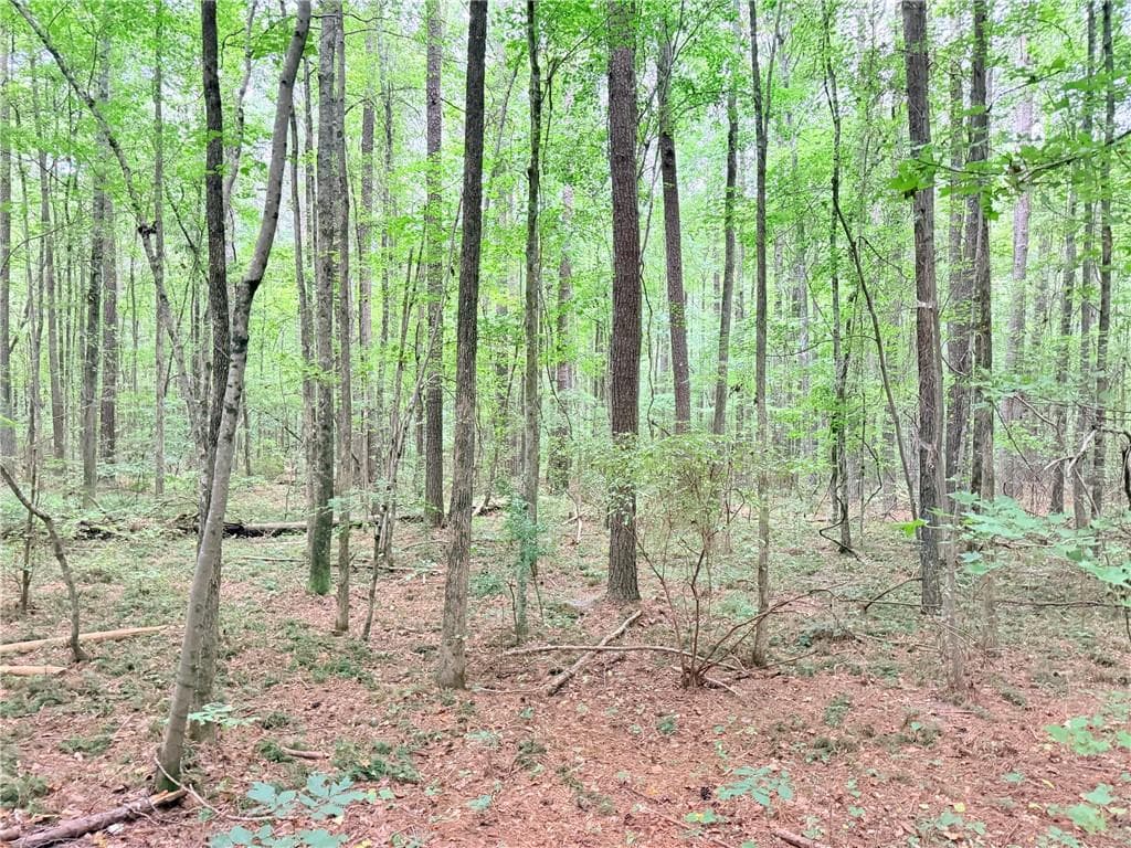 single family residence for sale at 0 Rockmart Road, Villa Rica, GA 30180 — photo 5