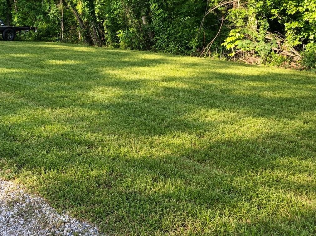 unimproved land for sale at 5642 Alligator Aly, Gainesville, GA 30506 — photo 2