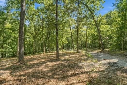 single family residence for sale at 1400 Butterworth Road, Canton, GA 30114 — photo 3