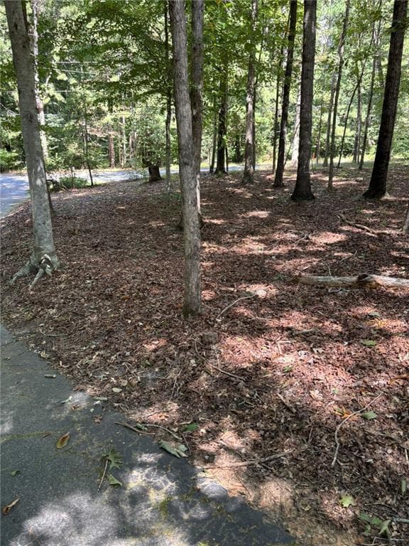 3 bedroom, 2 bathroom, 1,876 sq ft single family residence for rent at 674 Clarke Trail, Dacula, GA 30019 for $2,495 a month — photo 2