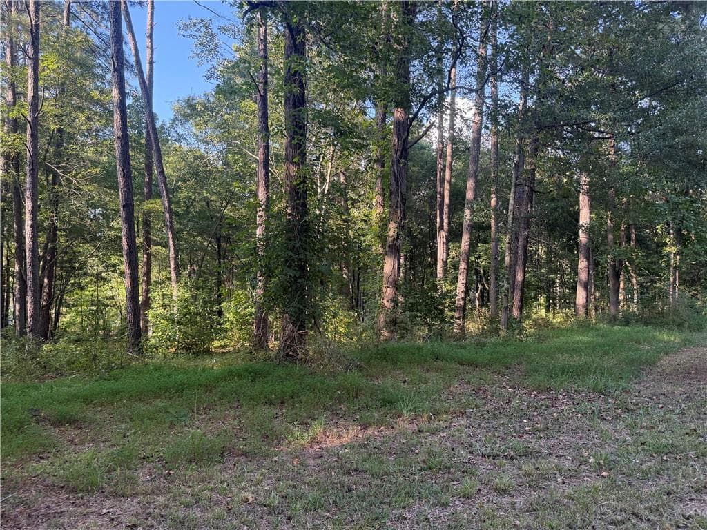 1 bedroom, 1 bathroom, 609 sq ft single family residence for sale at 88 Grogan Hill Road, Silver Creek, GA 30173 — photo 4