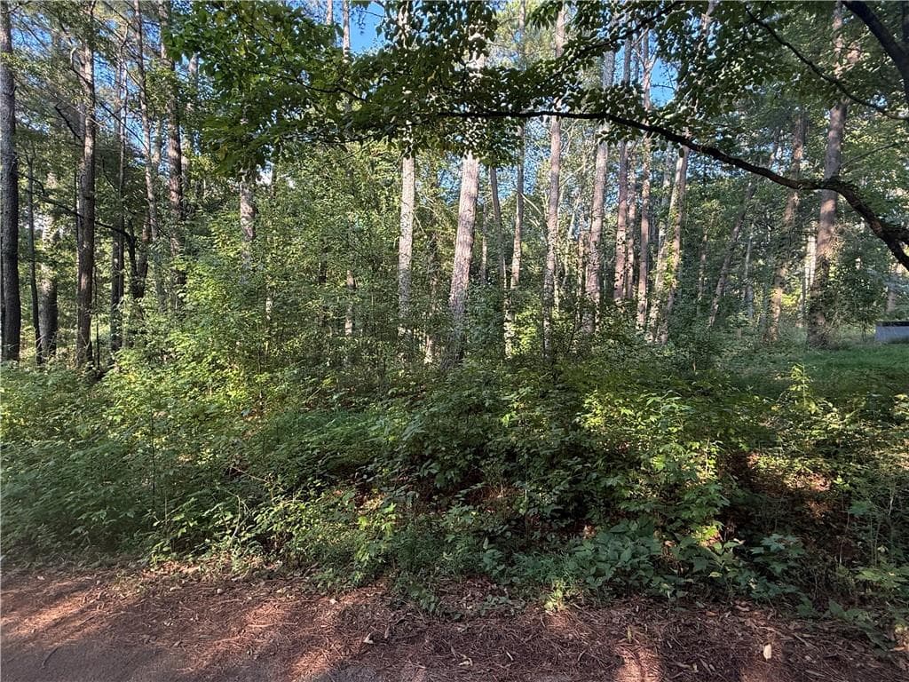 1 bedroom, 1 bathroom, 609 sq ft single family residence for sale at 88 Grogan Hill Road, Silver Creek, GA 30173 — photo 5