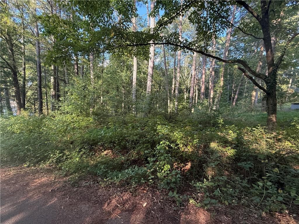 1 bedroom, 1 bathroom, 609 sq ft single family residence for sale at 88 Grogan Hill Road, Silver Creek, GA 30173 — photo 6