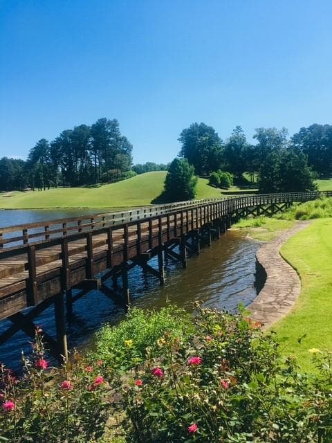 single family residence under contract at 105 Hawks Court, Ball Ground, GA 30107 — photo 4