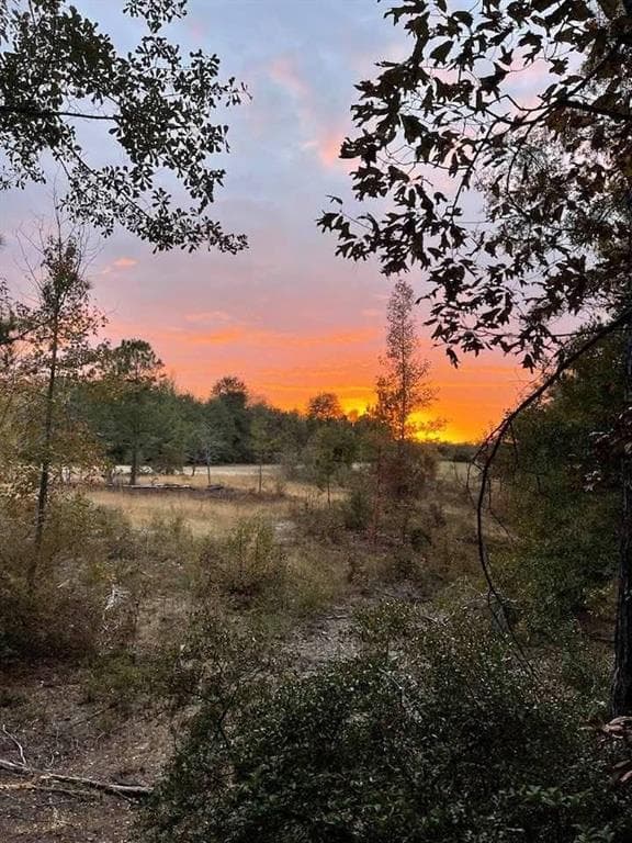 other for sale at 1110 GA-88, Blythe, GA 30805 — photo 8