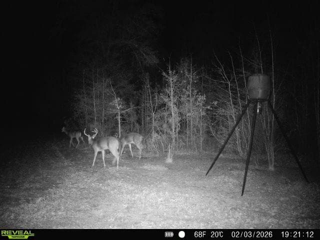 other for sale at 1110 GA-88, Blythe, GA 30805 — photo 5