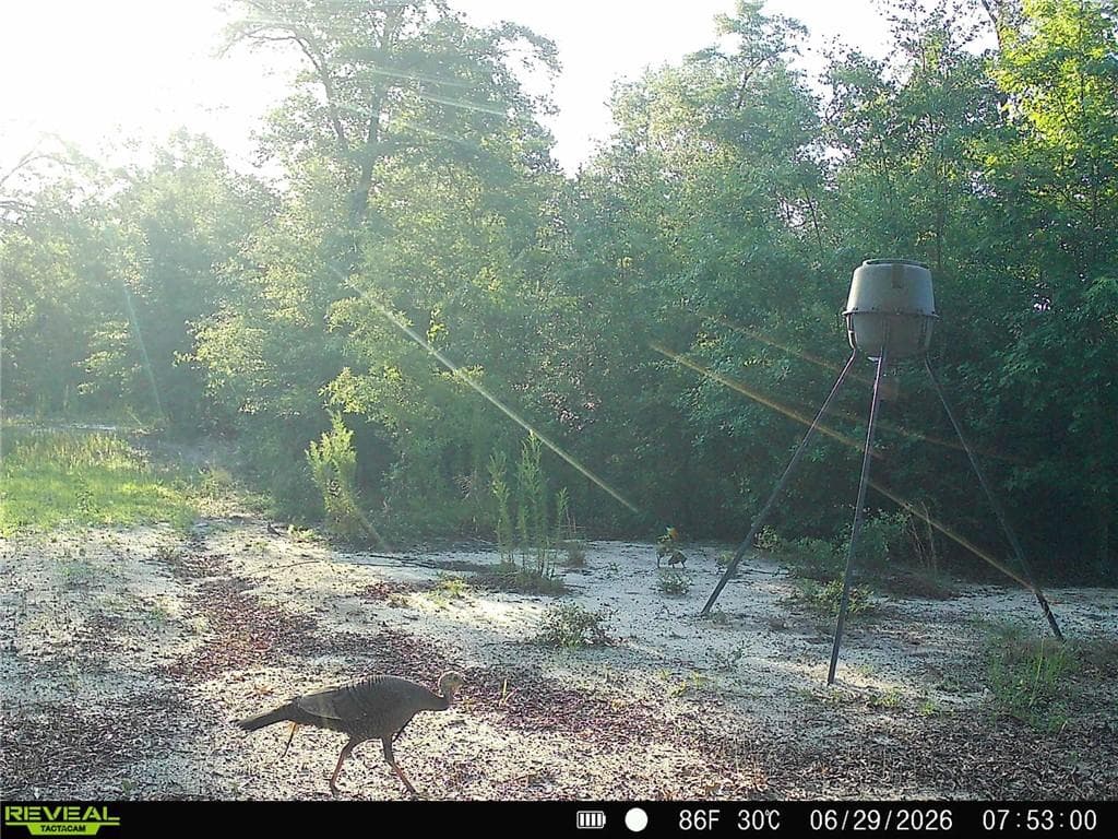 other for sale at 1110 GA-88, Blythe, GA 30805 — photo 9