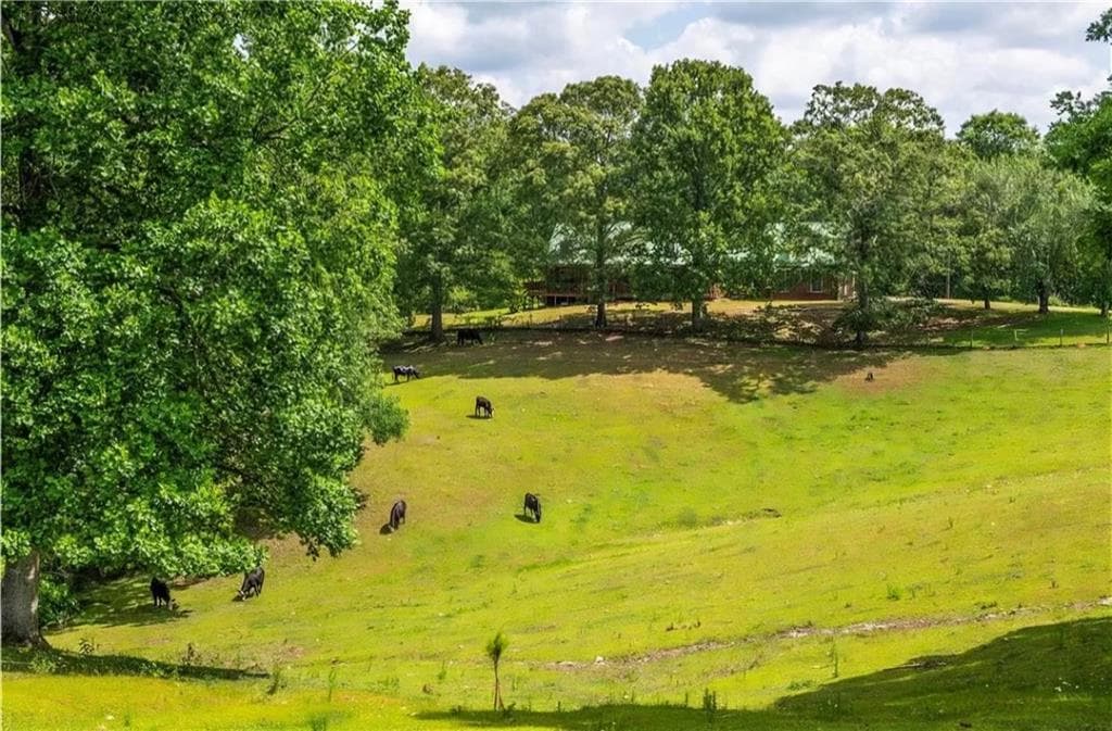 4 bedroom, 4 bathroom, 3,170 sq ft single family residence for rent at 3806 Ball Ground Road, Ball Ground, GA 30107 for $5,250 a month — photo 5