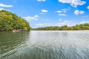 unimproved land for sale at 5640 Alligator Aly Alley, Gainesville, GA 30506 — photo 5