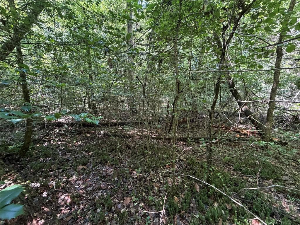 single family residence for sale at 0 Alpine Drive, Sautee Nacoochee, GA 30571 — photo 3