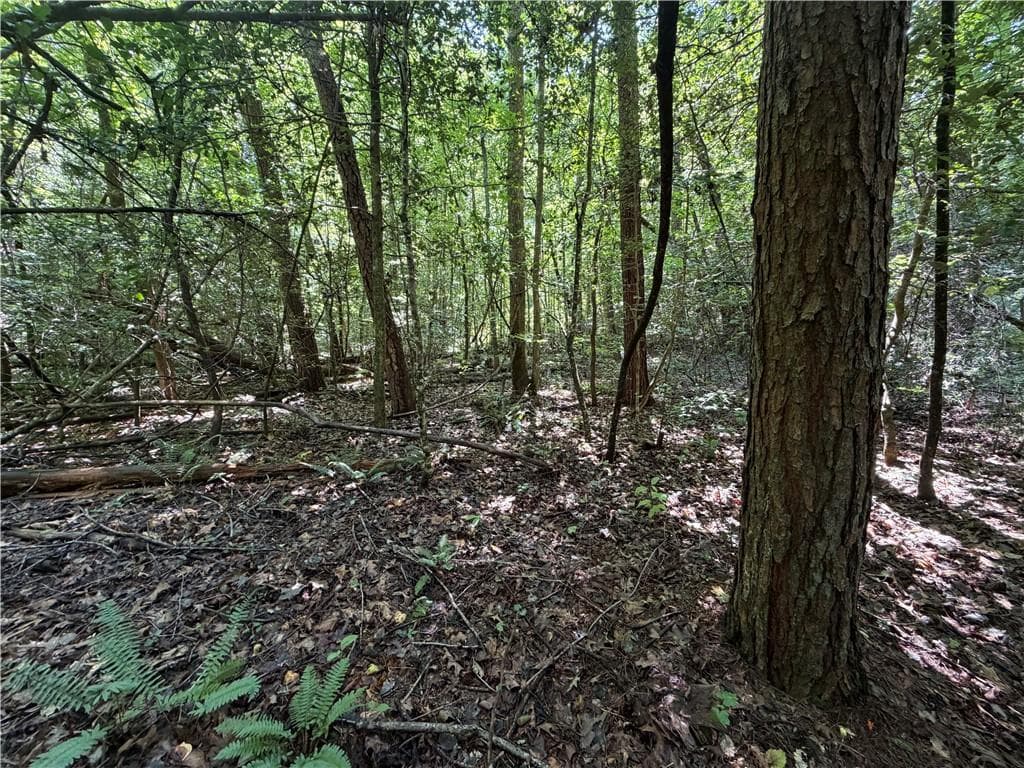 single family residence for sale at 0 Alpine Drive, Sautee Nacoochee, GA 30571 — photo 4
