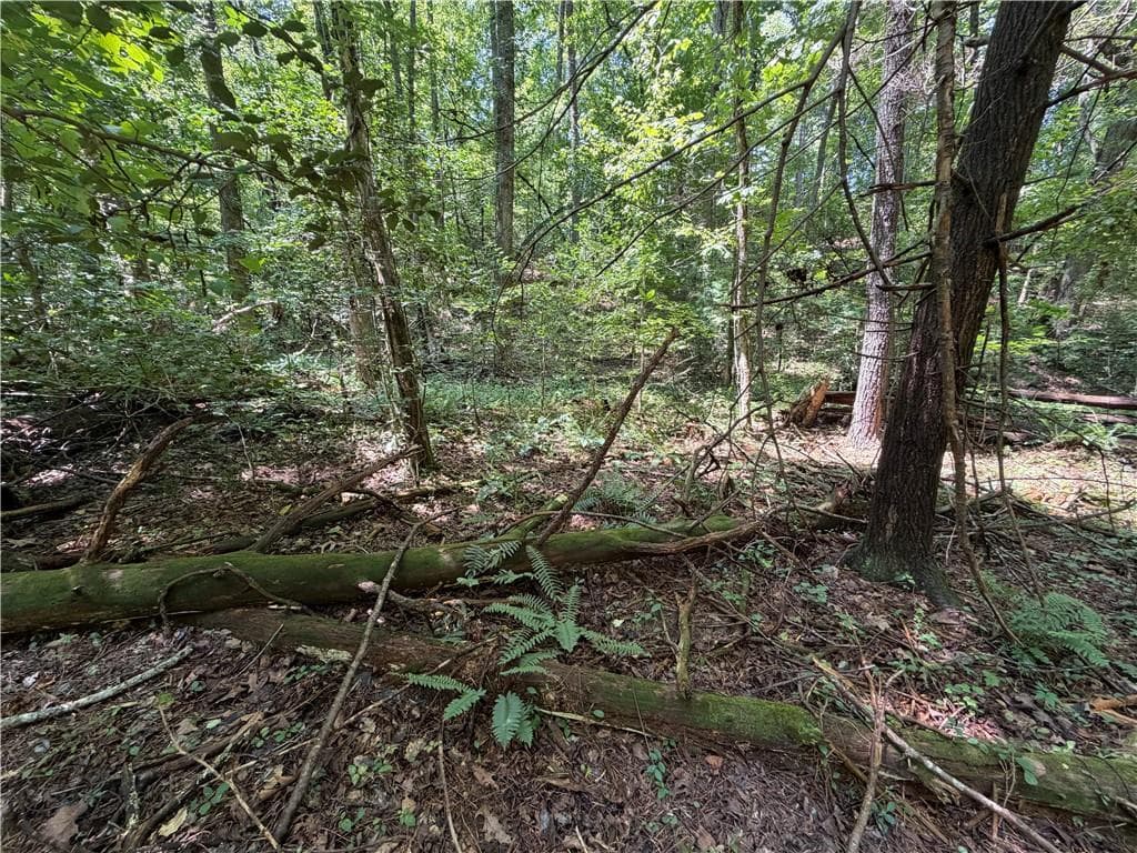 single family residence for sale at 0 Alpine Drive, Sautee Nacoochee, GA 30571 — photo 5