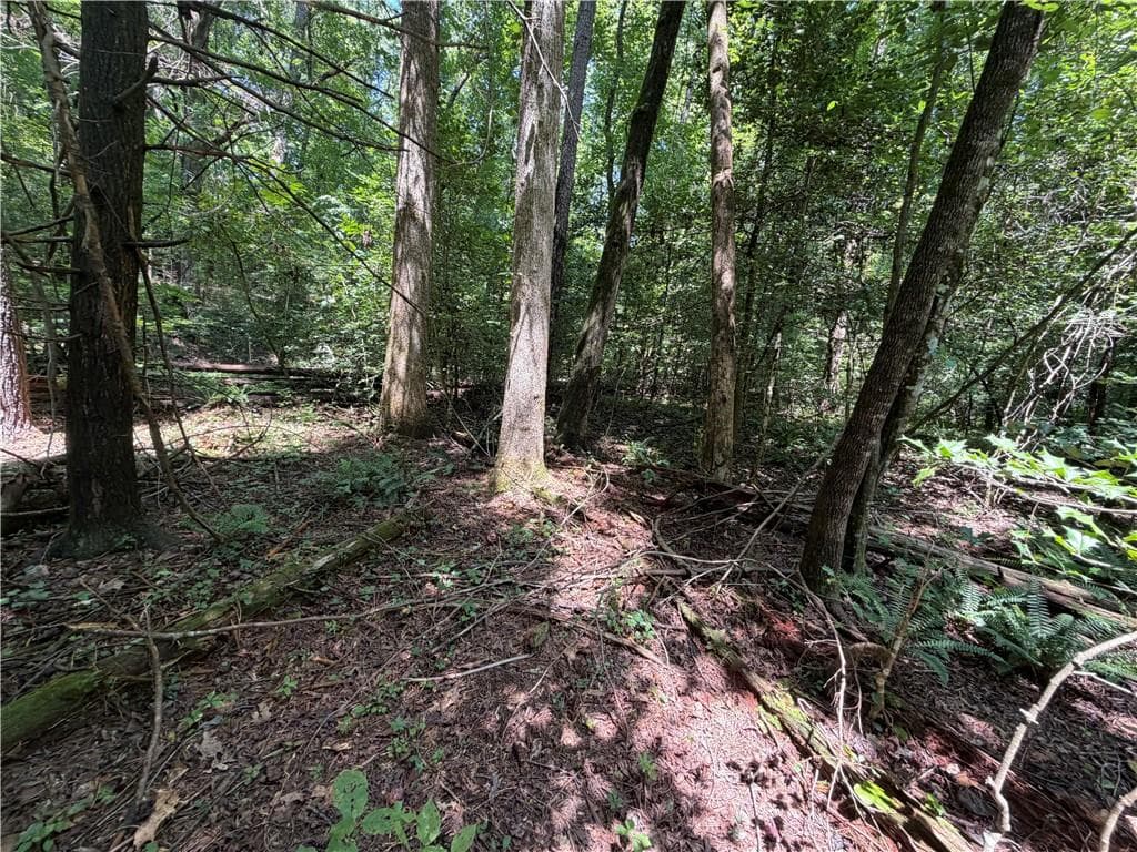 single family residence for sale at 0 Alpine Drive, Sautee Nacoochee, GA 30571 — photo 7