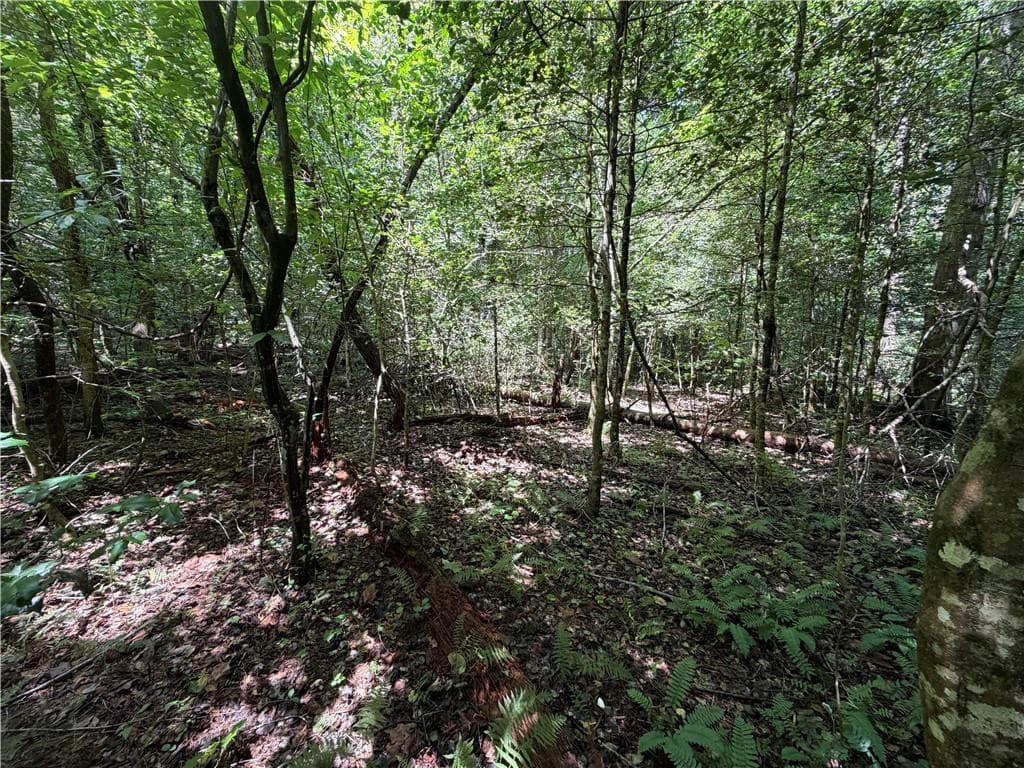 single family residence for sale at 0 Alpine Drive, Sautee Nacoochee, GA 30571 — photo 9