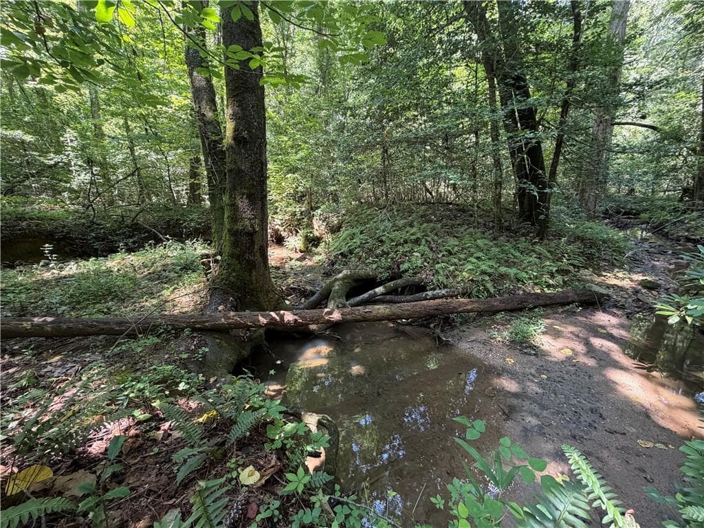 single family residence for sale at 0 Alpine Drive, Sautee Nacoochee, GA 30571 — photo 2