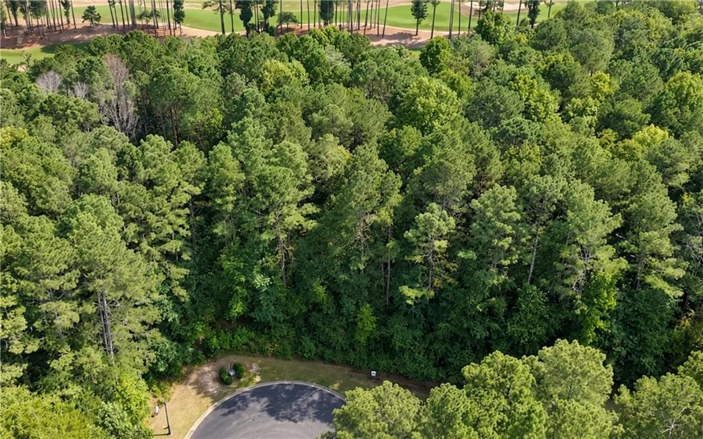 single family residence for sale at 124 Hawks Court, Ball Ground, GA 30107 — photo 2