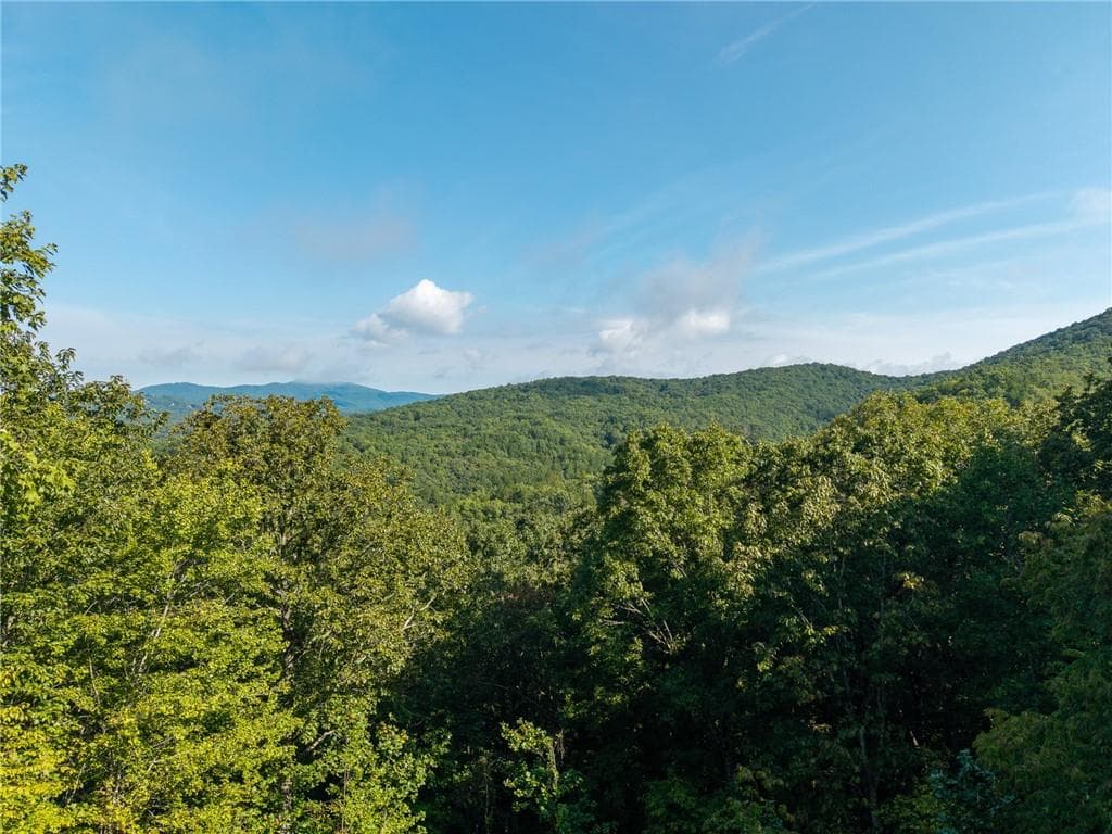 3 bedroom, 3 bathroom, 2,080 sq ft single family residence for sale at 624 Rhonda Lane, Mineral Bluff, GA 30559 — photo 8