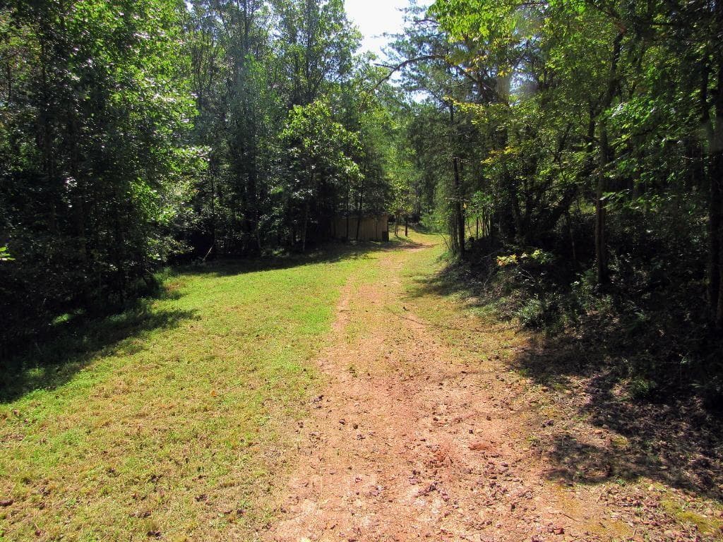 home for sale at 343 Hollybrook Road, Dahlonega, GA