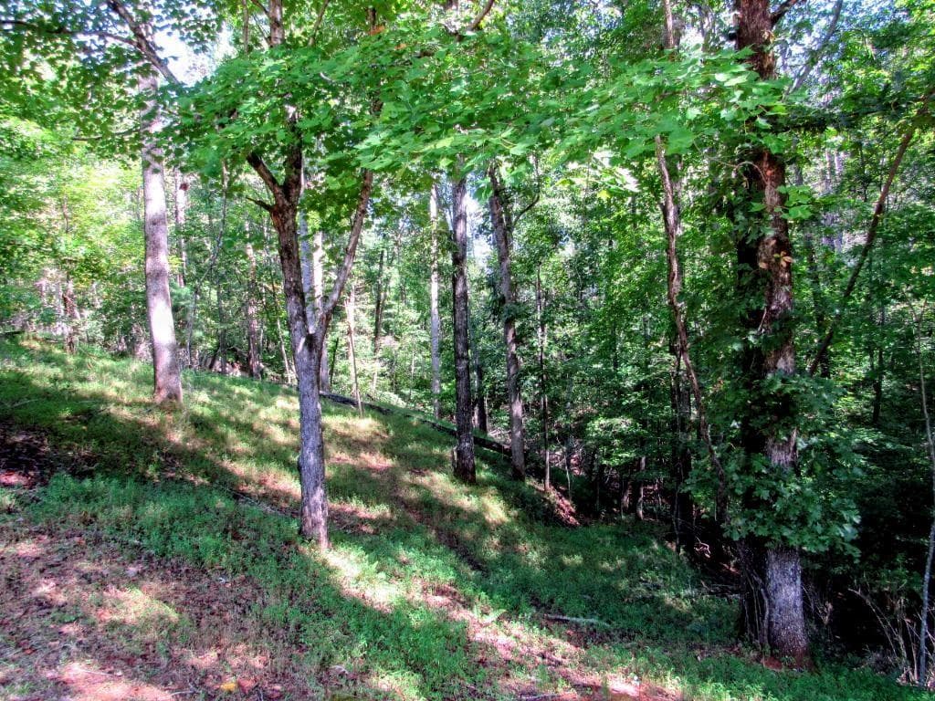 other for sale at 343 Hollybrook Road, Dahlonega, GA 30533 — photo 4