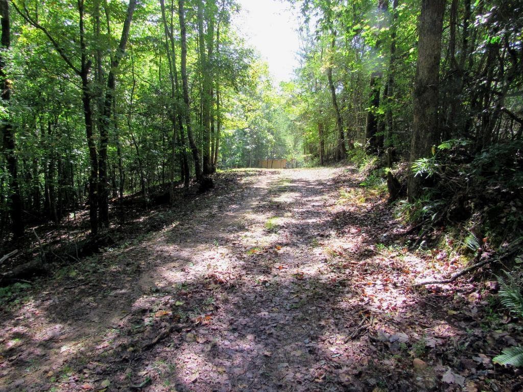other for sale at 343 Hollybrook Road, Dahlonega, GA 30533 — photo 8
