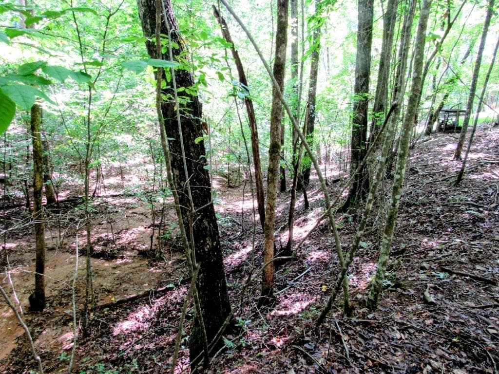 other for sale at 343 Hollybrook Road, Dahlonega, GA 30533 — photo 10