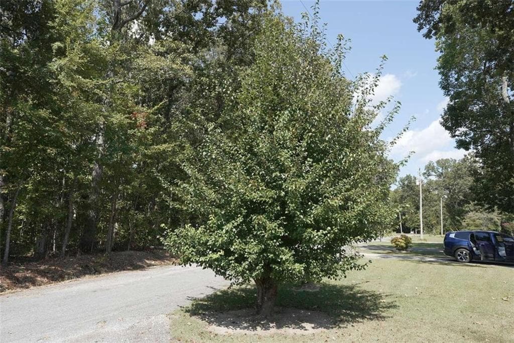 3 bedroom, 2 bathroom, 1,248 sq ft single family residence for sale at 4030 Oak Drive, Cedar Bluff, AL 35959 — photo 4