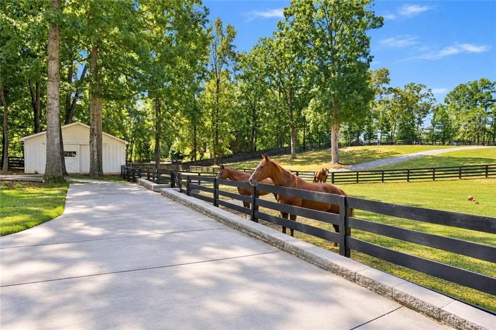 5 bedroom, 5 bathroom, 5,319 sq ft single family residence under contract at 297 Henderson Lake Drive, Canton, GA 30115 — photo 9