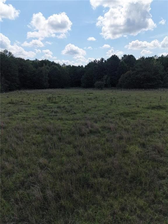other under contract at 8117 Linton Rd, Sparta, GA 31087 — photo 5