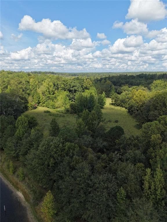 other under contract at 8117 Linton Rd, Sparta, GA 31087 — photo 6