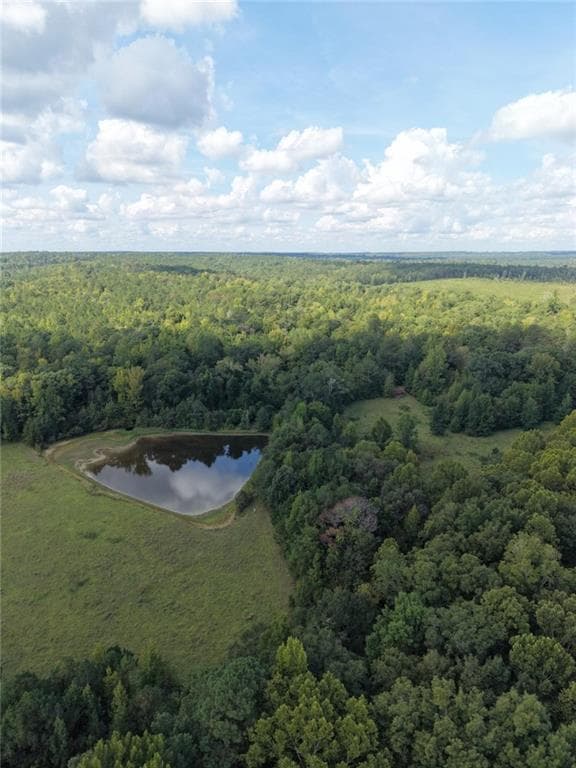 other under contract at 8117 Linton Rd, Sparta, GA 31087 — photo 9