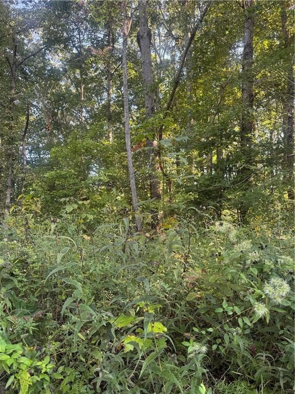 single family residence under contract at Lot 3 Roberts Ridge Road, Ellijay, GA 30540 — photo 2