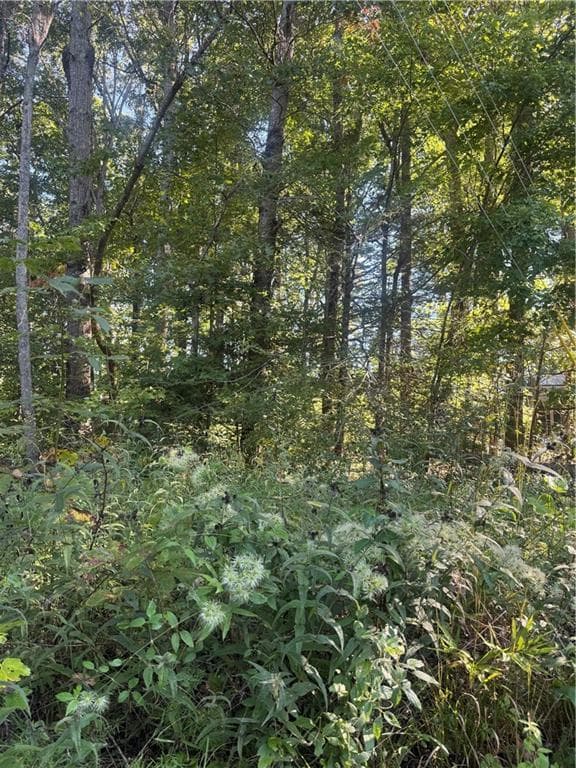 single family residence under contract at Lot 3 Roberts Ridge Road, Ellijay, GA 30540 — photo 3