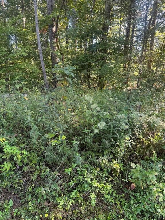 single family residence under contract at Lot 3 Roberts Ridge Road, Ellijay, GA 30540 — photo 4