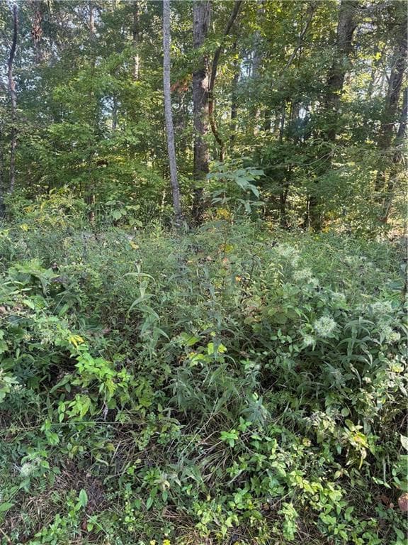 single family residence under contract at Lot 3 Roberts Ridge Road, Ellijay, GA 30540 — photo 5